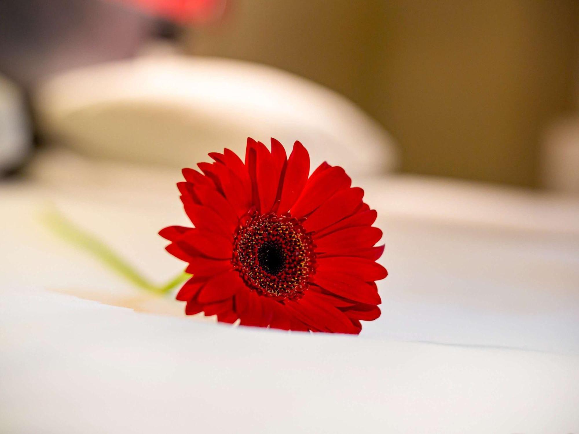 Ibis Hotel Irun